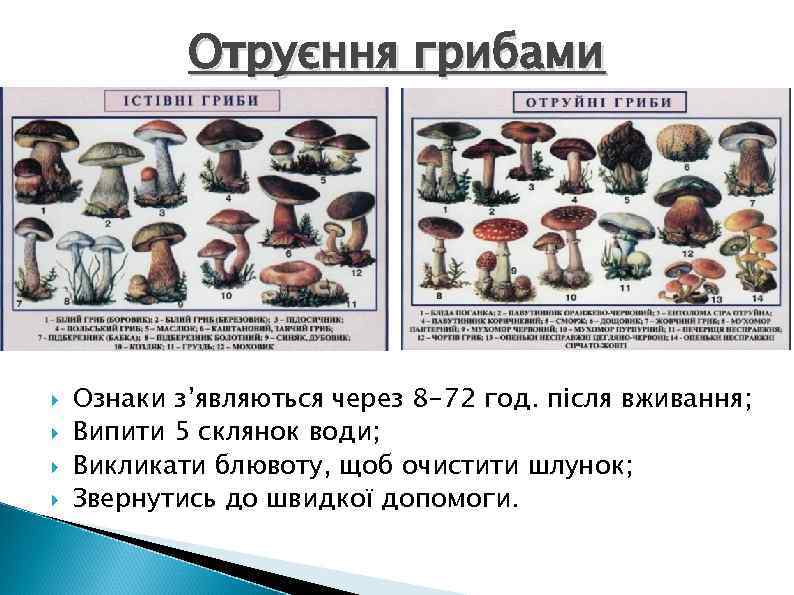 Отруєння грибами Ознаки з’являються через 8 -72 год. після вживання; Випити 5 склянок води;