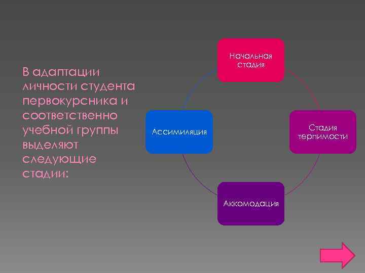 В адаптации личности студента первокурсника и соответственно учебной группы выделяют следующие стадии: Начальная стадия