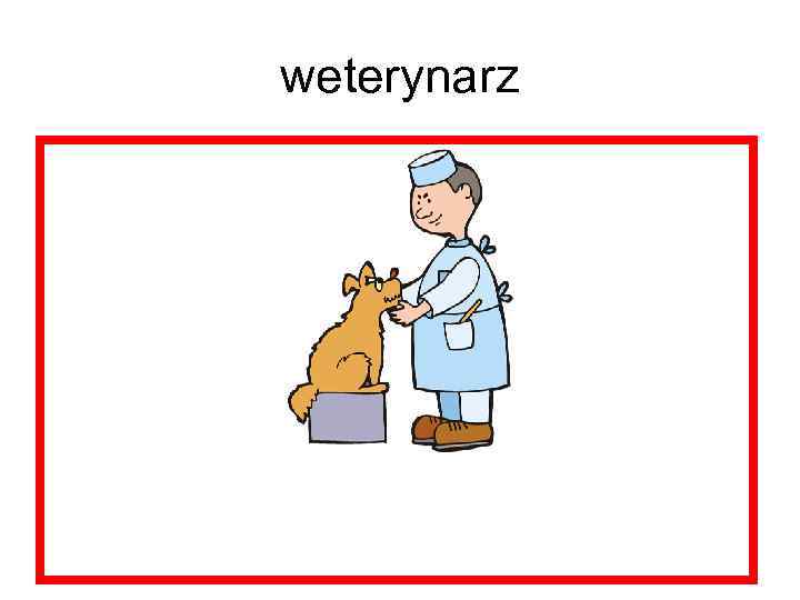 weterynarz 