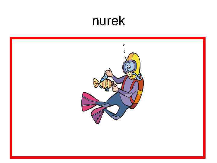 nurek 