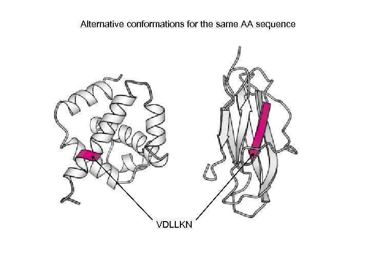 Alternative conformations for the same AA sequence VDLLKN 