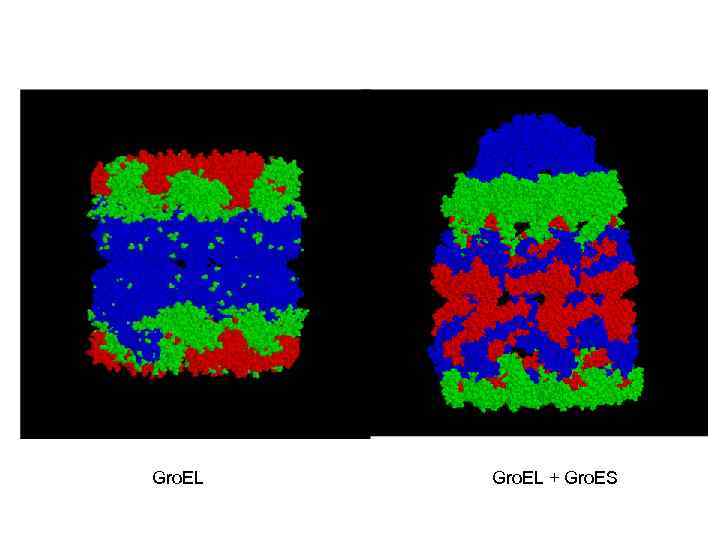 Gro. EL + Gro. ES 