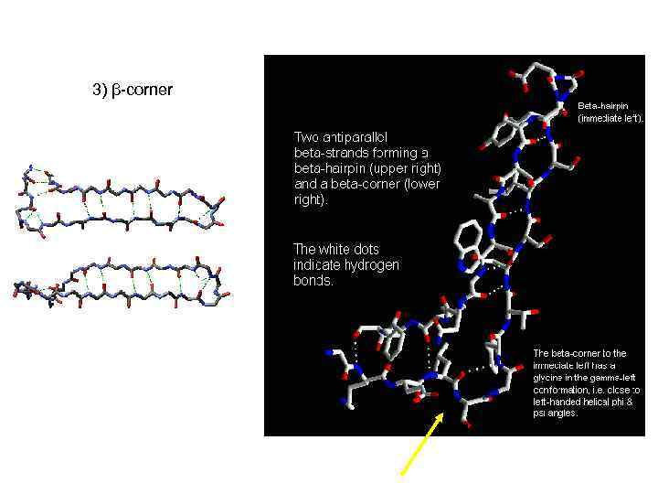 3) β-corner 