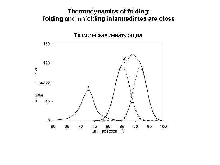 Thermodynamics of folding: folding and unfolding intermediates are close Термическая денатурация 