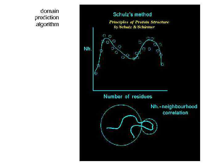 domain prediction algorithm 