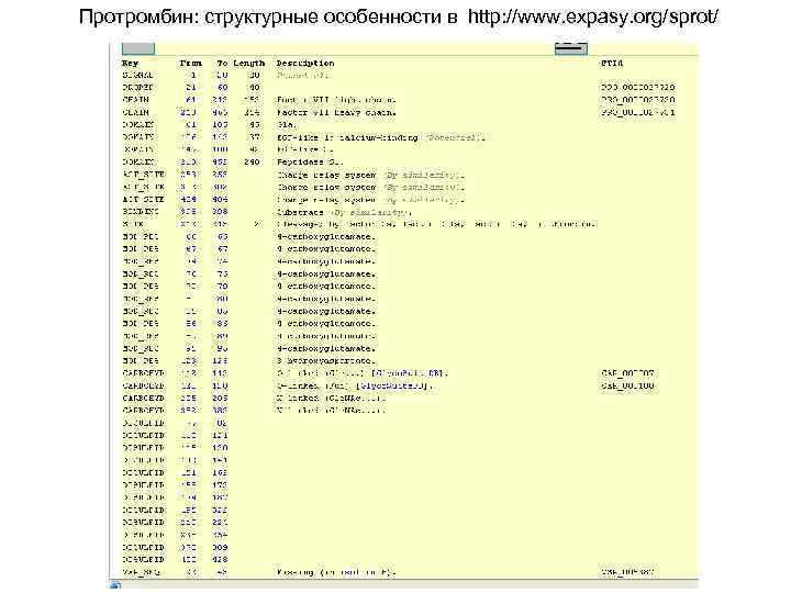 Протромбин: структурные особенности в http: //www. expasy. org/sprot/ 