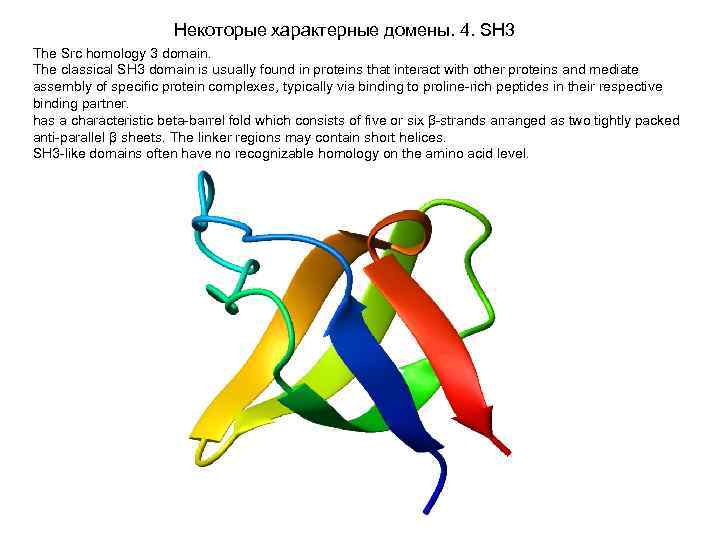 Некоторые характерные домены. 4. SH 3 The Src homology 3 domain. The classical SH