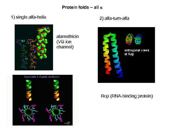 Protein folds – all α 1) single alfa-helix 2) alfa-turn-alfa alamethicin (VG ion channel)