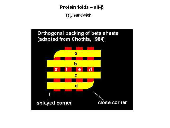 Protein folds – all- 1) sandwich 