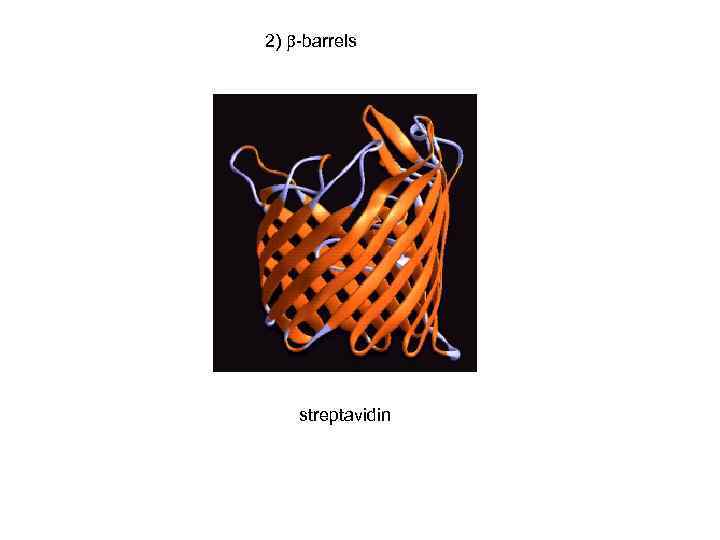 2) -barrels streptavidin 