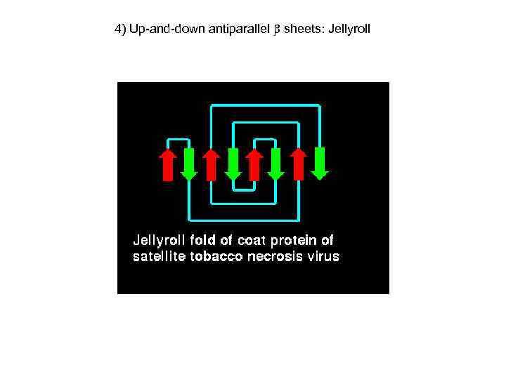 4) Up-and-down antiparallel sheets: Jellyroll 