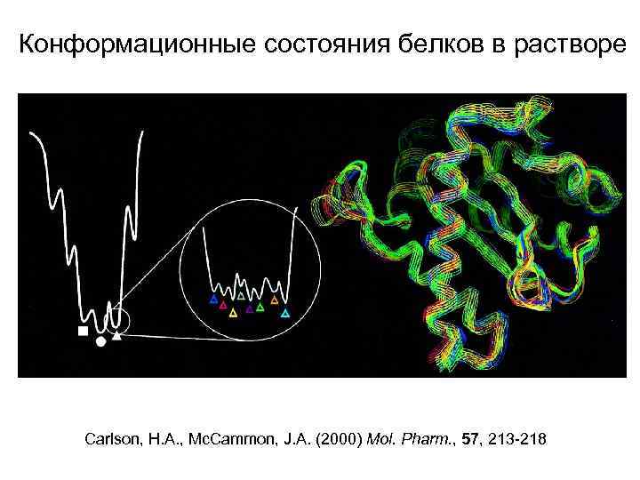 Конформационные состояния белков в растворе Carlson, H. A. , Mc. Cammon, J. A. (2000)