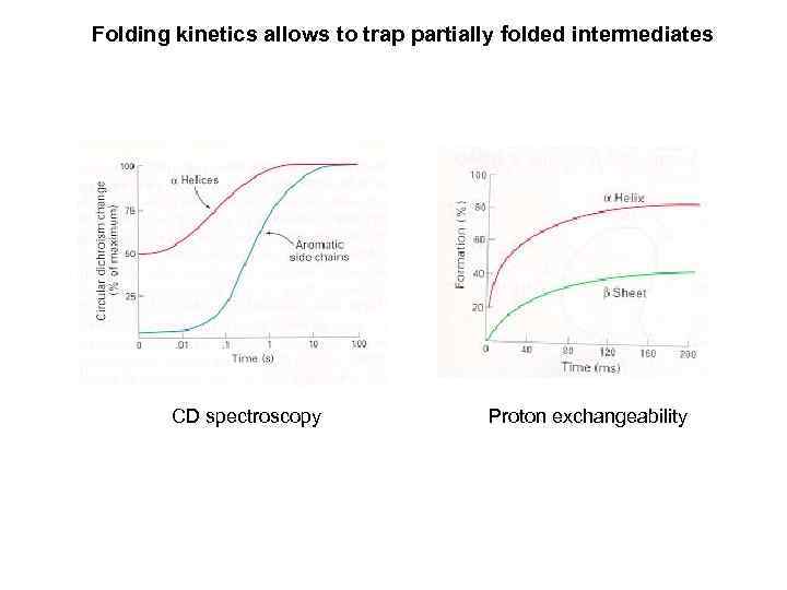 Folding kinetics allows to trap partially folded intermediates CD spectroscopy Proton exchangeability 