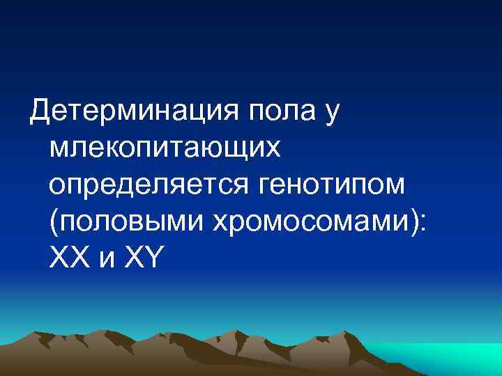 Детерминация пола у млекопитающих определяется генотипом (половыми хромосомами): ХХ и XY 