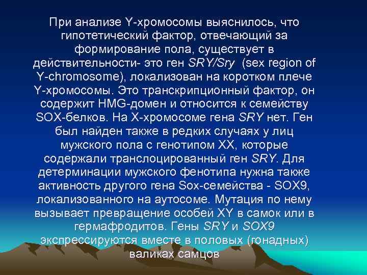 При анализе Y-хромосомы выяснилось, что гипотетический фактор, отвечающий за формирование пола, существует в действительности-