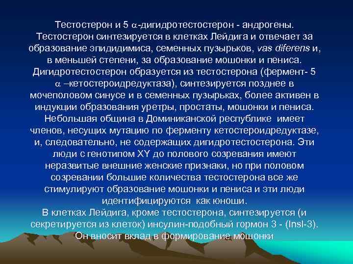 Тестостерон и 5 a-дигидротестостерон - андрогены. Тестостерон синтезируется в клетках Лейдига и отвечает за