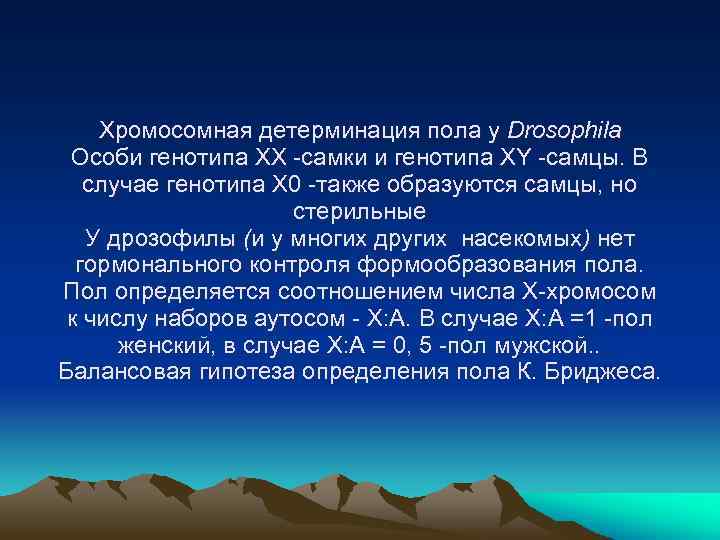 Хромосомная детерминация пола у Drosophila Особи генотипа XX -самки и генотипа XY -самцы. В