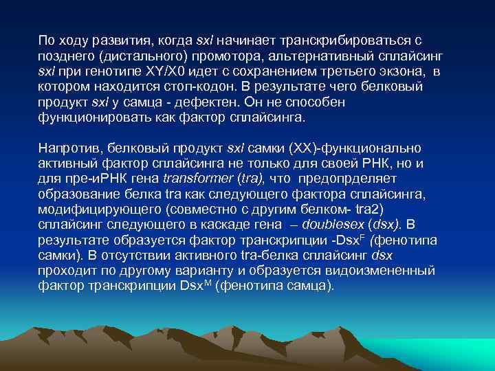 По ходу развития, когда sxl начинает транскрибироваться с позднего (дистального) промотора, альтернативный сплайсинг sxl