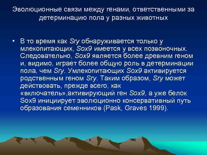 Эволюционные связи между генами, ответственными за детерминацию пола у разных животных • В то