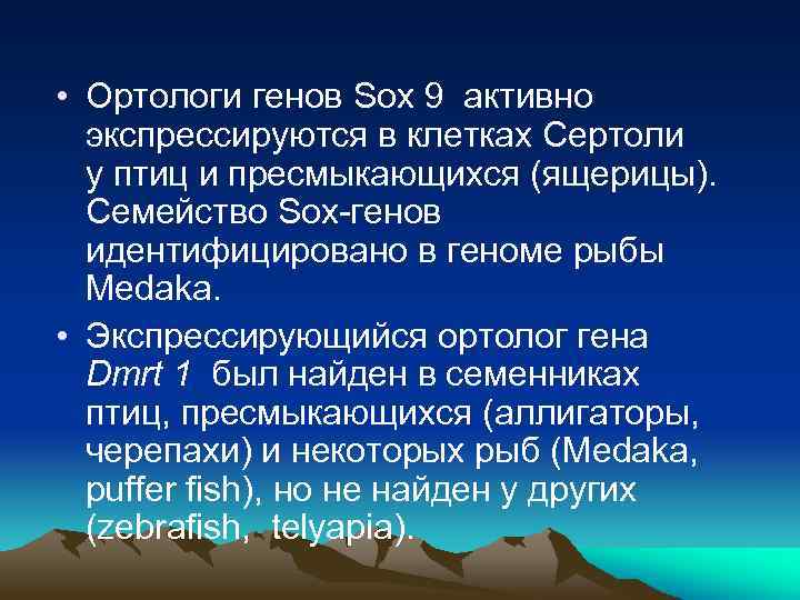  • Ортологи генов Sox 9 активно экспрессируются в клетках Сертоли у птиц и