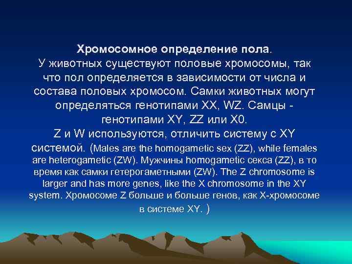 Хромосомное определение пола. У животных существуют половые хромосомы, так что пол определяется в зависимости