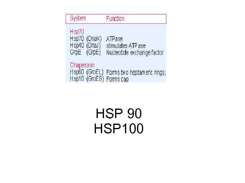 HSP 90 HSP 100 