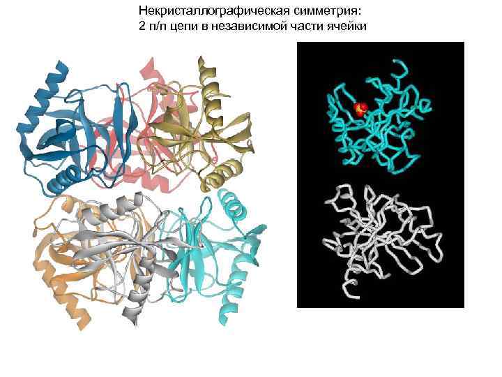 Некристаллографическая симметрия: 2 п/п цепи в независимой части ячейки 