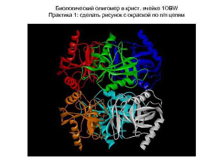 Биологический олигомер в крист. ячейке 1 OBW Практика 1: сделать рисунок с окраской по