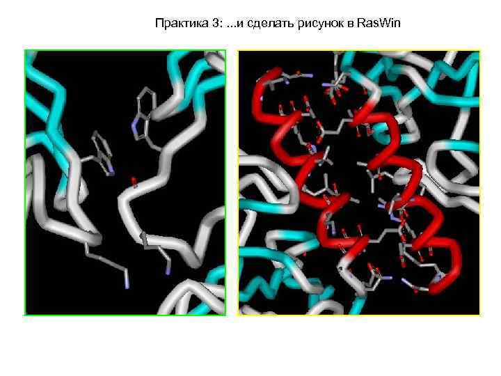 Практика 3: . . . и сделать рисунок в Ras. Win 