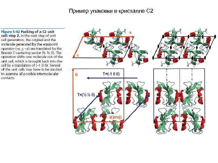 Пример упаковки в кристалле С 2 