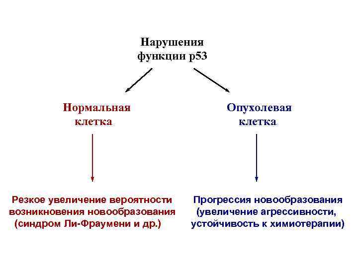 Нарушения функции р53 Нормальная клетка Резкое увеличение вероятности возникновения новообразования (синдром Ли-Фраумени и др.