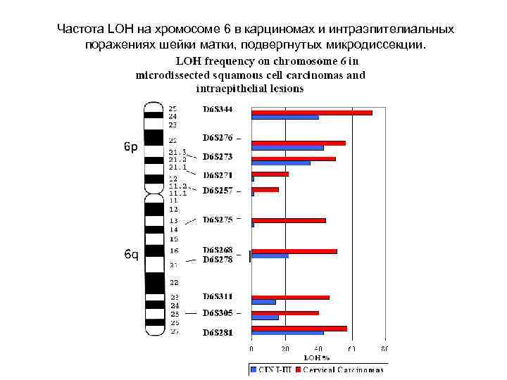Частота LOH на хромосоме 6 в карциномах и интраэпителиальных поражениях шейки матки, подвергнутых микродиссекции.