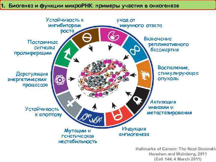 1. Биогенез и функции микро. РНК: примеры участия в онкогенезе Устойчивость к ингибиторам роста