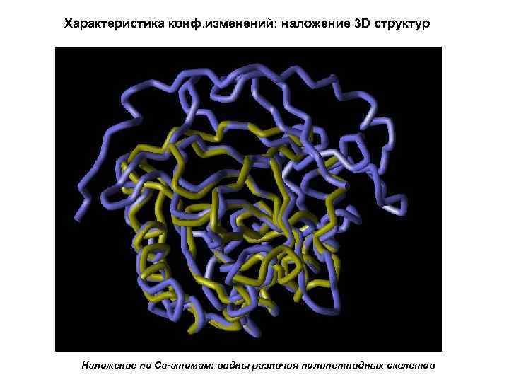 Характеристика конф. изменений: наложение 3 D структур Наложение по Са-атомам: видны различия полипептидных скелетов