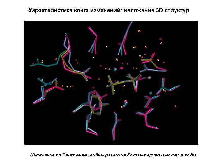 Характеристика конф. изменений: наложение 3 D структур Наложение по Са-атомам: видны различия боковых групп