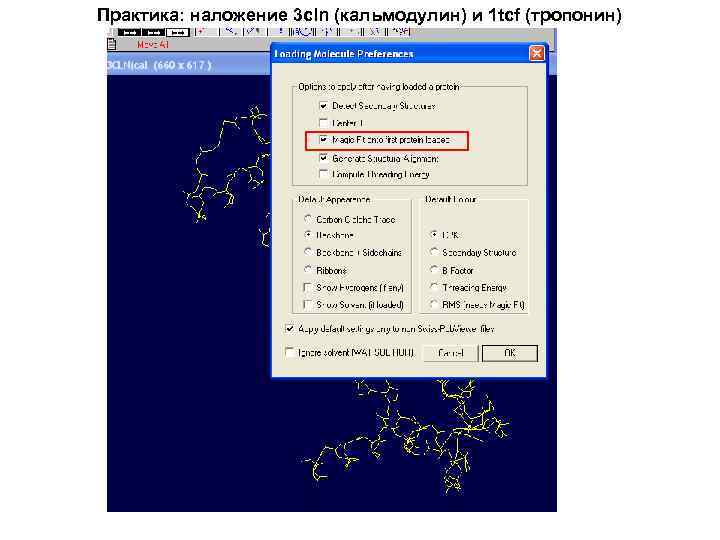 Практика: наложение 3 cln (кальмодулин) и 1 tcf (тропонин) 
