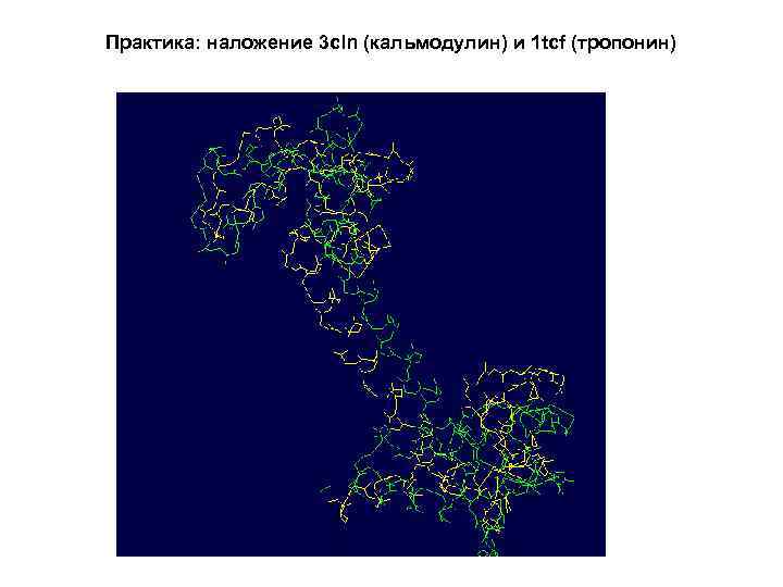 Практика: наложение 3 cln (кальмодулин) и 1 tcf (тропонин) 