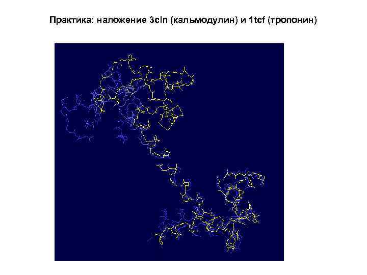 Практика: наложение 3 cln (кальмодулин) и 1 tcf (тропонин) 