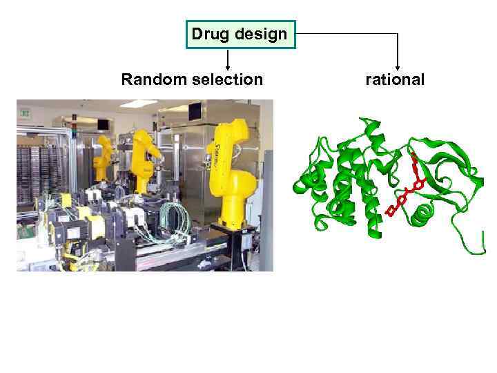 Drug design Random selection rational 