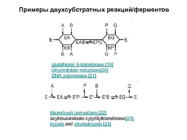 Примеры двухсубстратных реакций/ферментов glutathione S-transferase, [19] dihydrofolate reductase[20] DNA polymerase. [21] thioredoxin peroxidase, [22]