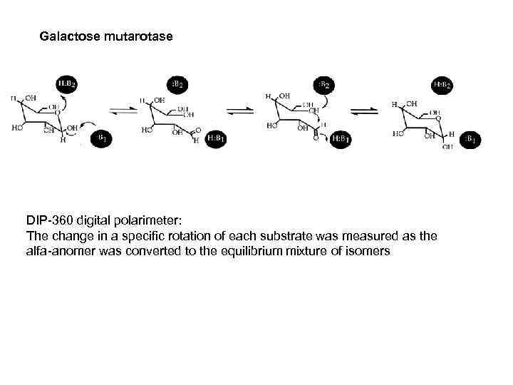 Galactose mutarotase DIP-360 digital polarimeter: The change in a specific rotation of each substrate