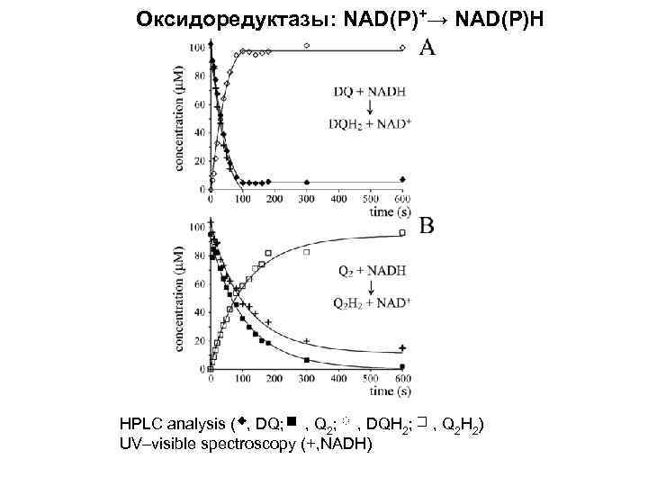 Оксидоредуктазы: NAD(P)+→ NAD(P)H HPLC analysis ( , DQ; , Q 2; , DQH 2;