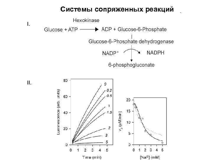 Cистемы сопряженных реакций I. II. 