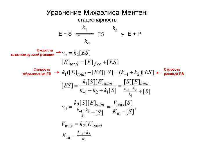 Уравнение Михаэлиса-Ментен: стационарность Скорость катализируемой реакции Скорость образования ES Скорость распада ES 