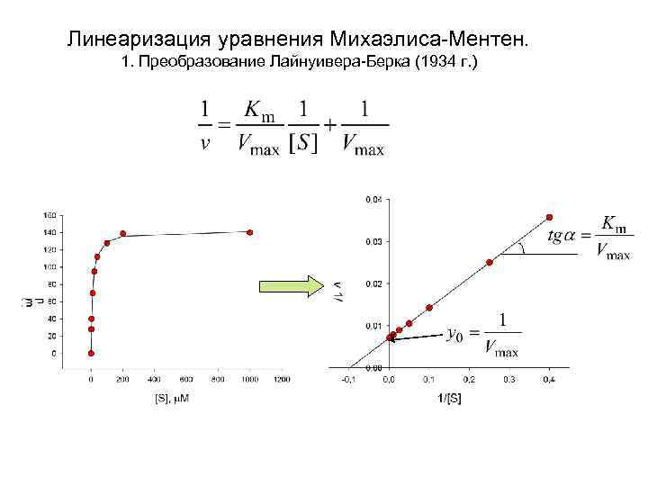 Линеаризация уравнения Михаэлиса-Ментен. 1. Преобразование Лайнуивера-Берка (1934 г. ) 