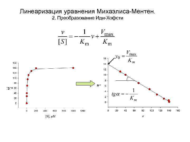 Метод шел