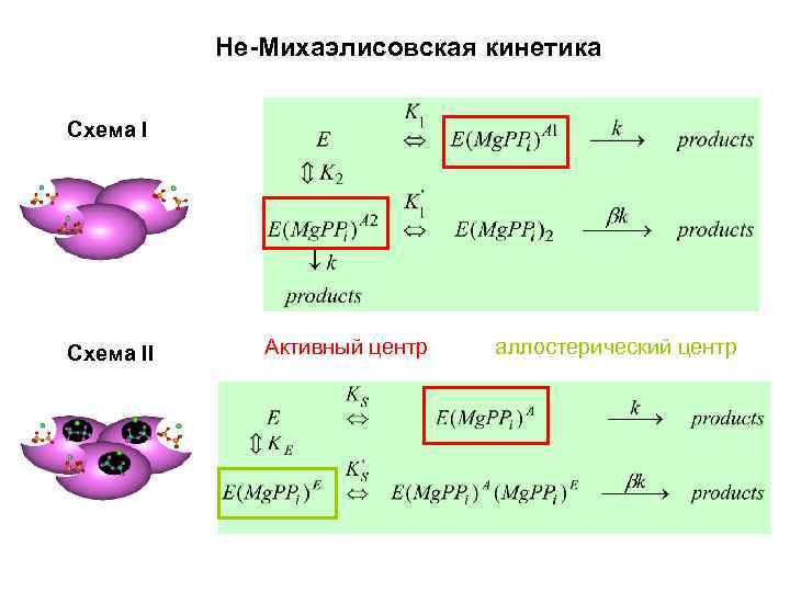 Не-Михаэлисовская кинетика Схема II Активный центр аллостерический центр 