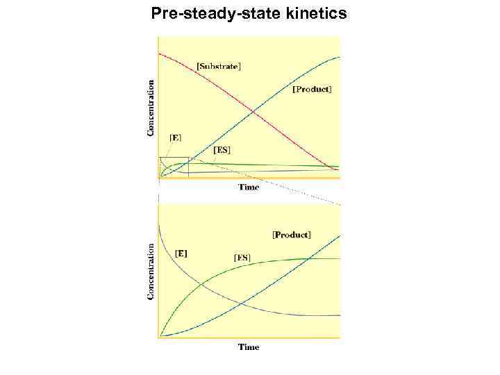 Pre-steady-state kinetics 