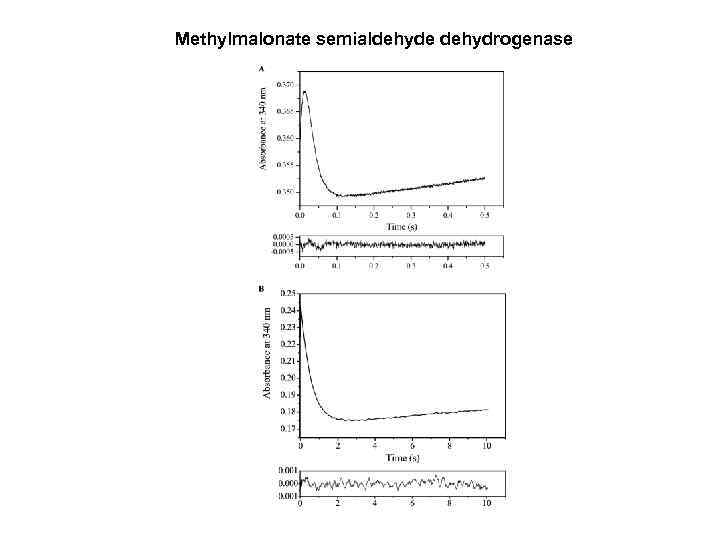 Мethylmalonate semialdehyde dehydrogenase 