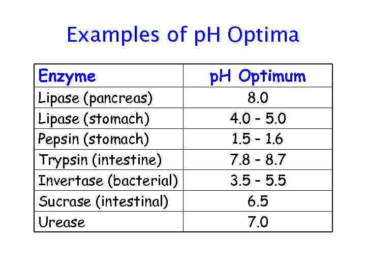 Examples of p. H Optima Enzyme Lipase (pancreas) Lipase (stomach) Pepsin (stomach) Trypsin (intestine)